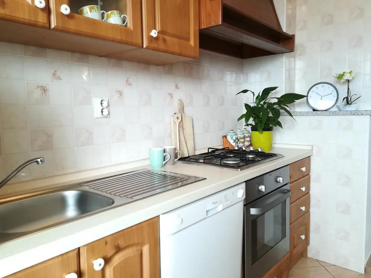 Apartment Toncic Benazici
